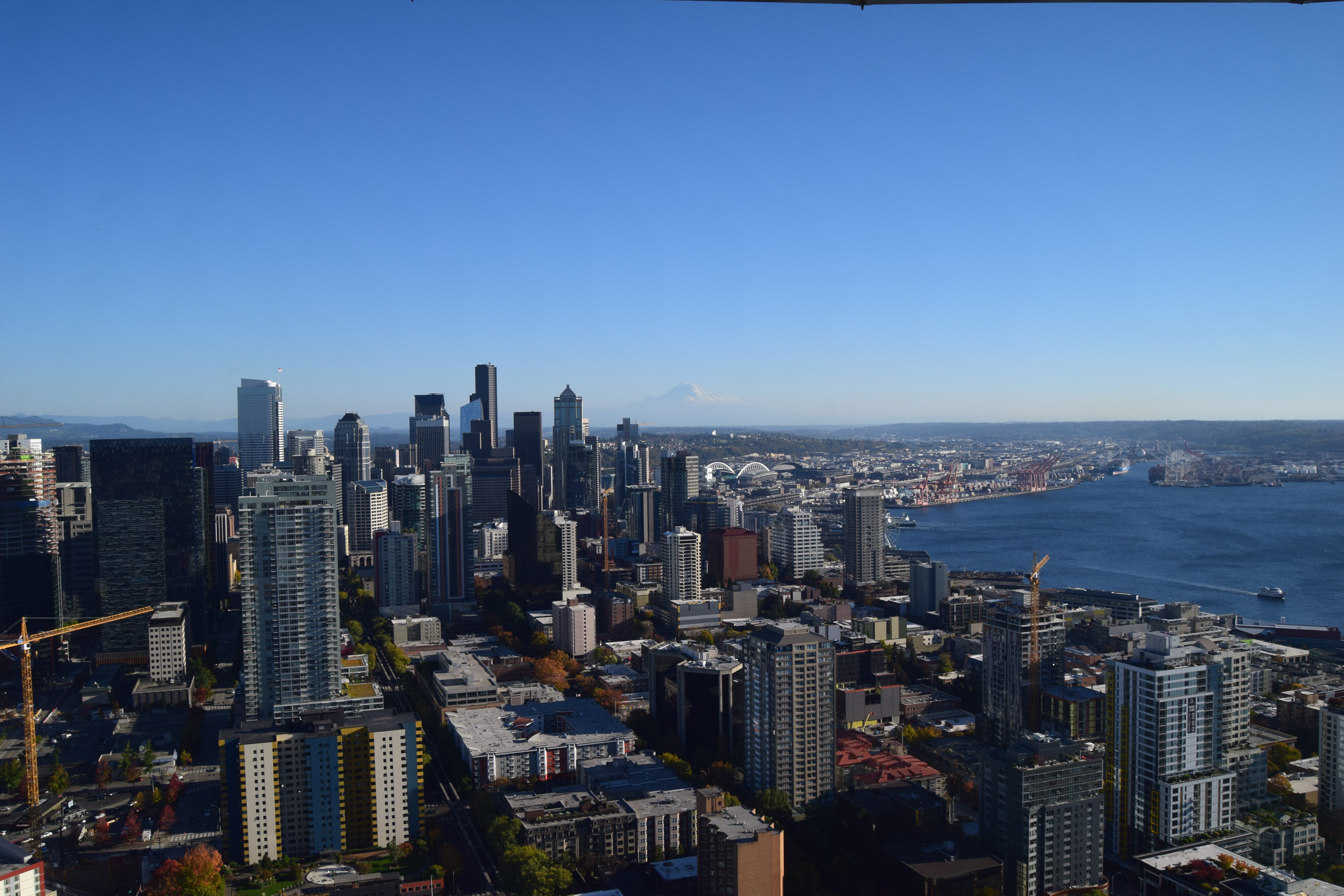 dsc_0273