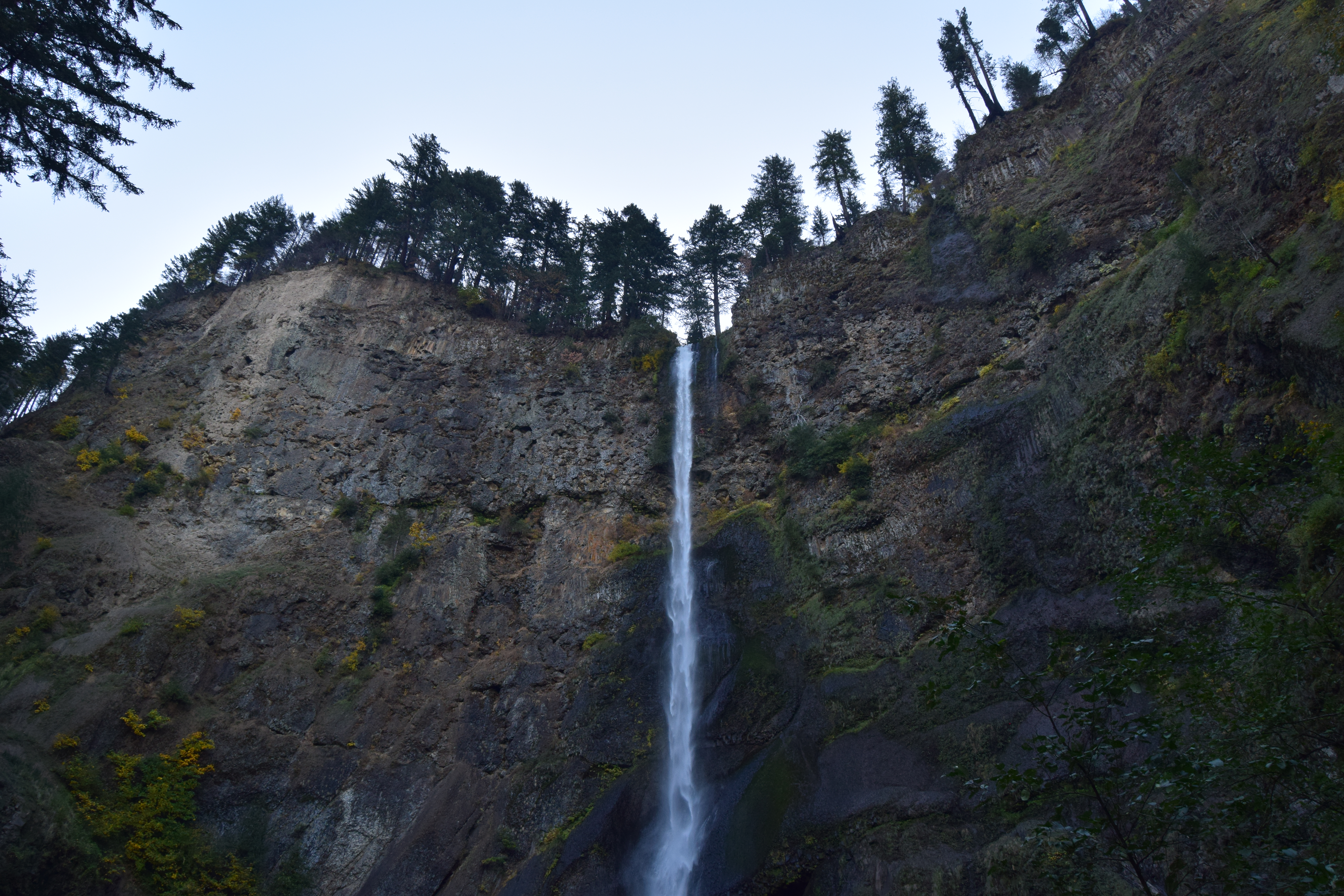 DSC_0594